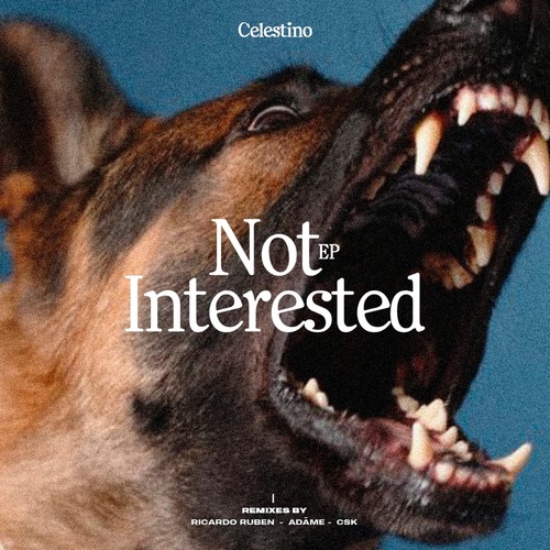 Celestino - Not Interested [MR011]